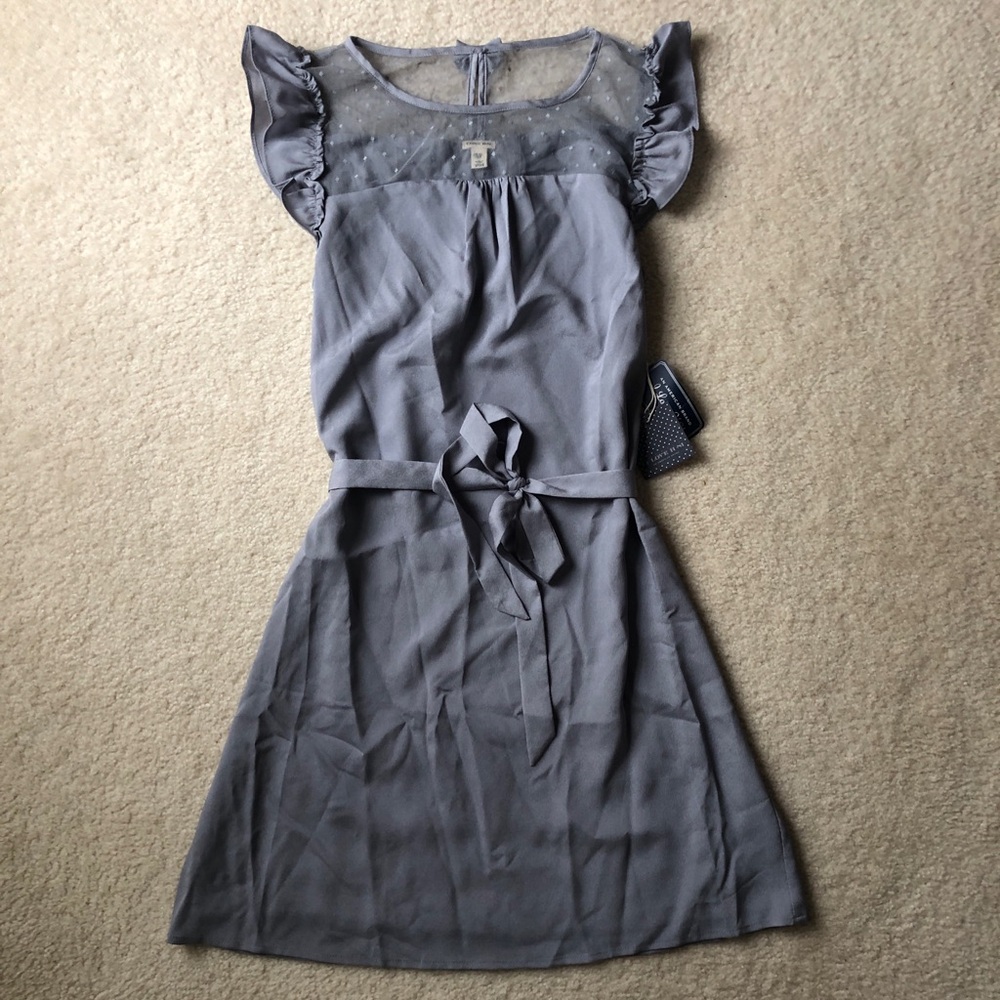 Beautiful gray dress NWT